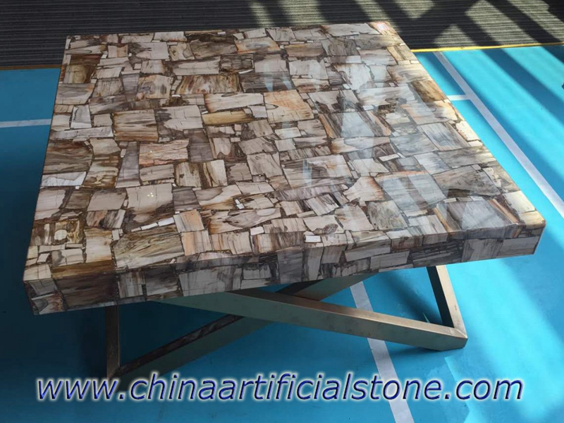 Petrified Wood Table