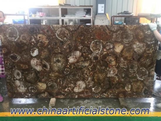 Petrified Wood Semi Precious Stone Slabs