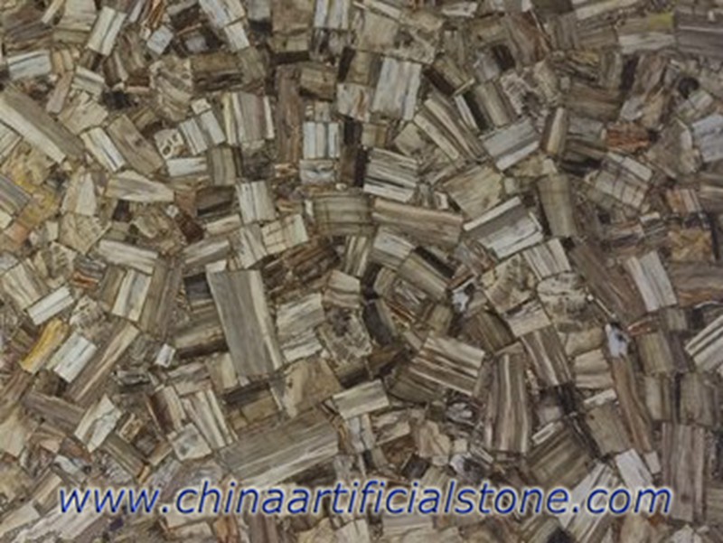 Petrified Wood Gemstone Semi Precious Stone Vein Cut Slabs 