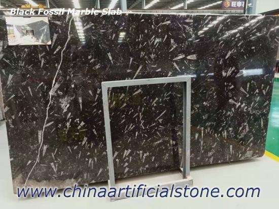 Morocco Fossil Black Limestone Marble Slab